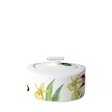 Amazonia Сахарница 0.29 л