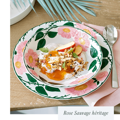 Модный блеск для нашей дикой розы