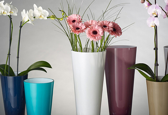 lorem ipsum dolor sit