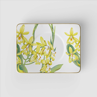 Amazonia Блюдце для чайной чашки17x14см