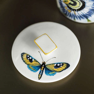 Amazonia Gifts Кружка с крышкой